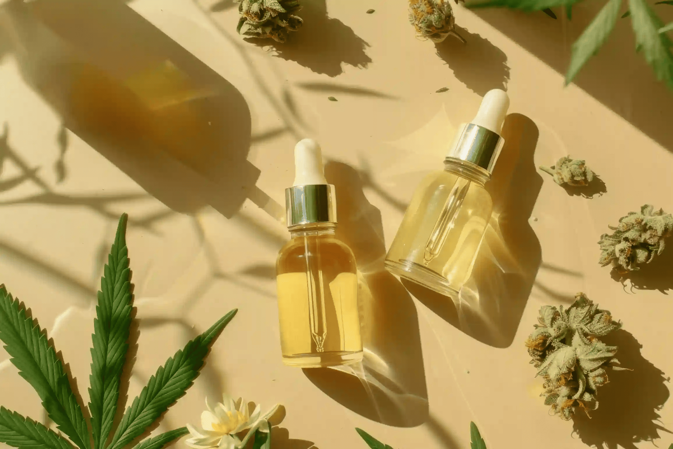 ТГК и CBD: в чём разница?
